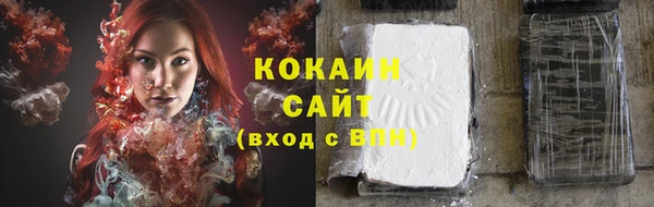 гашик Михайловск
