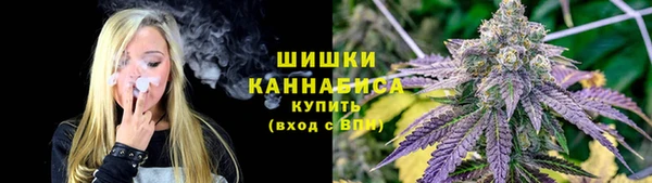 СК Медвежьегорск