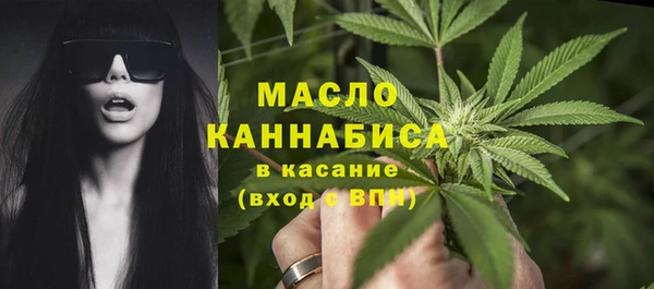 гашик Михайловск