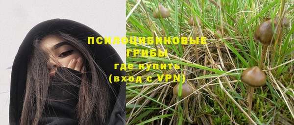 гашик Михайловск