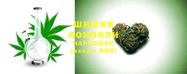гашик Михайловск