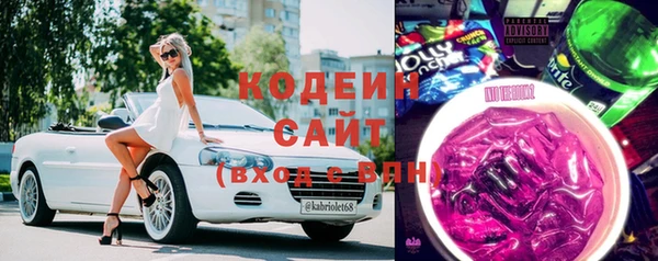 гашик Михайловск