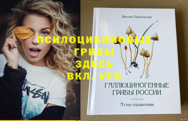 гашик Михайловск