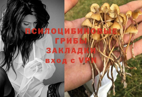 синтетический гашиш Михайлов